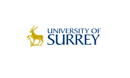 University of SurreyФото6
