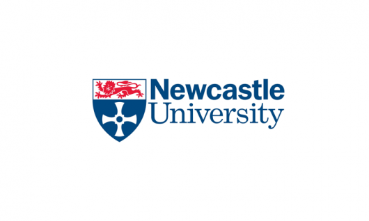 Newcastle UniversityФото4