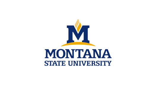 Montana State UniversityФото7