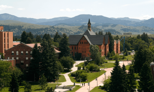 Montana State UniversityФото10