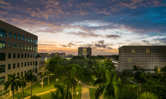 Florida International UniversityФото5