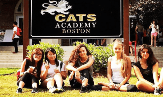 CATS  Academy Boston Фото 4