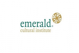 Emerald (Griffith College) - Школа верховой езды Фото 2