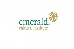 Emerald (Trinity College) - Курс &quot;Программирование + математика/инженерия&quot; Фото 2