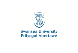 Swansea UniversityФото5